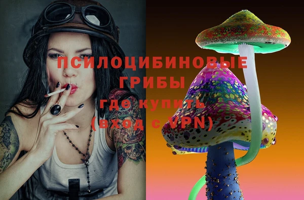 а пвп мука Бронницы