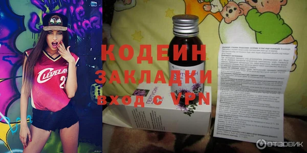 твердый Сясьстрой
